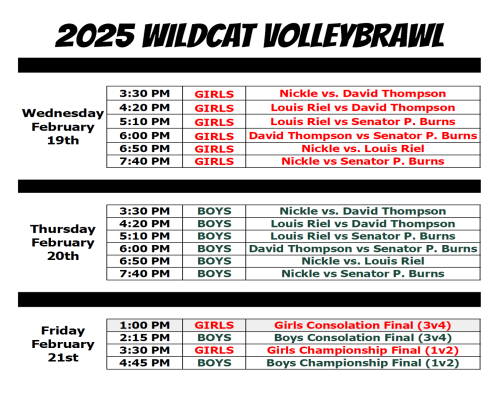2025 wildcat volleybrawl tournament